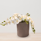 Vaso de Planta Médio em Madeira|Plástico 19,8x17,6cm Cinza Sustentável Cinza Petra Tronco Evo Design